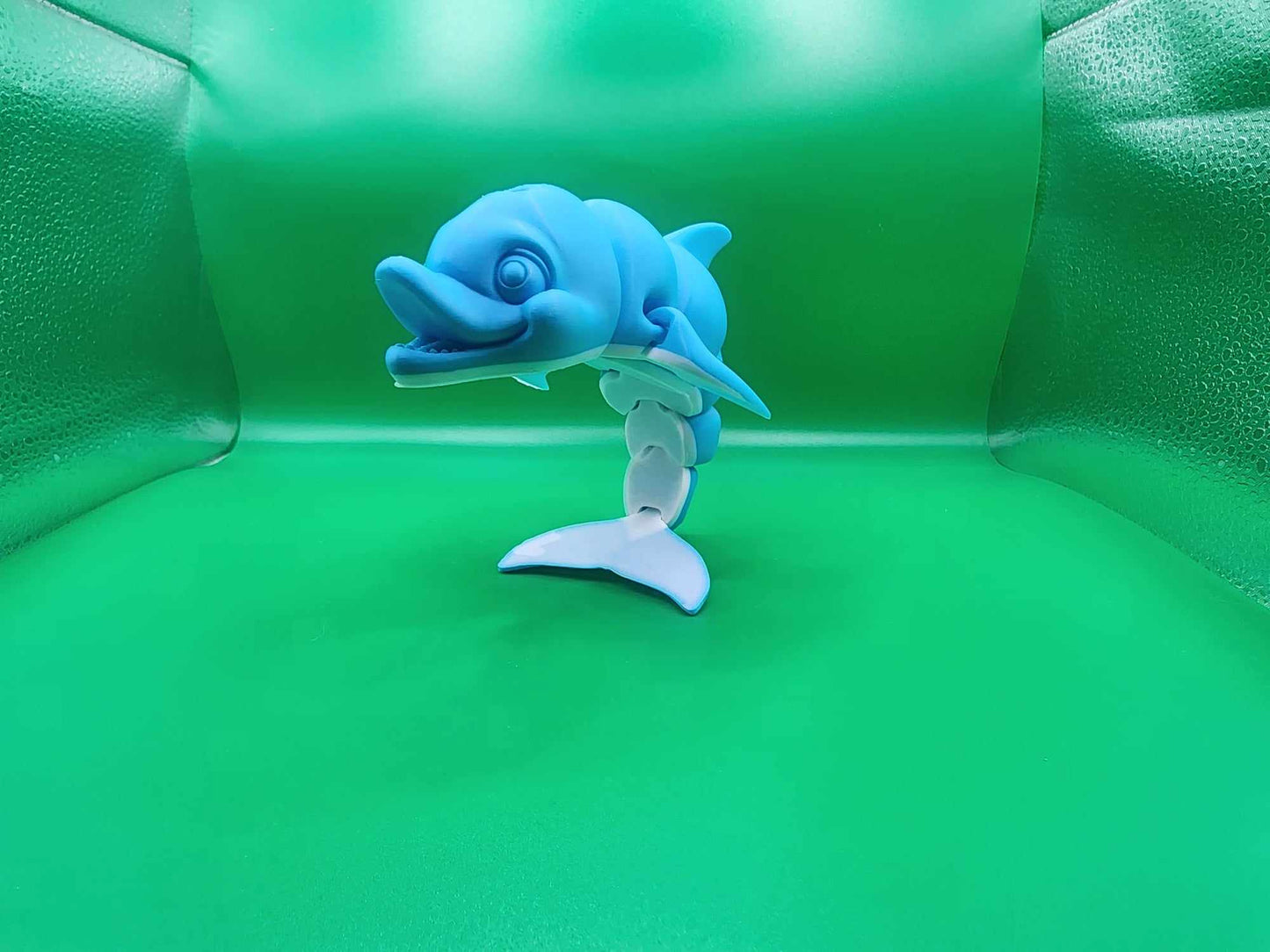 Dolphin