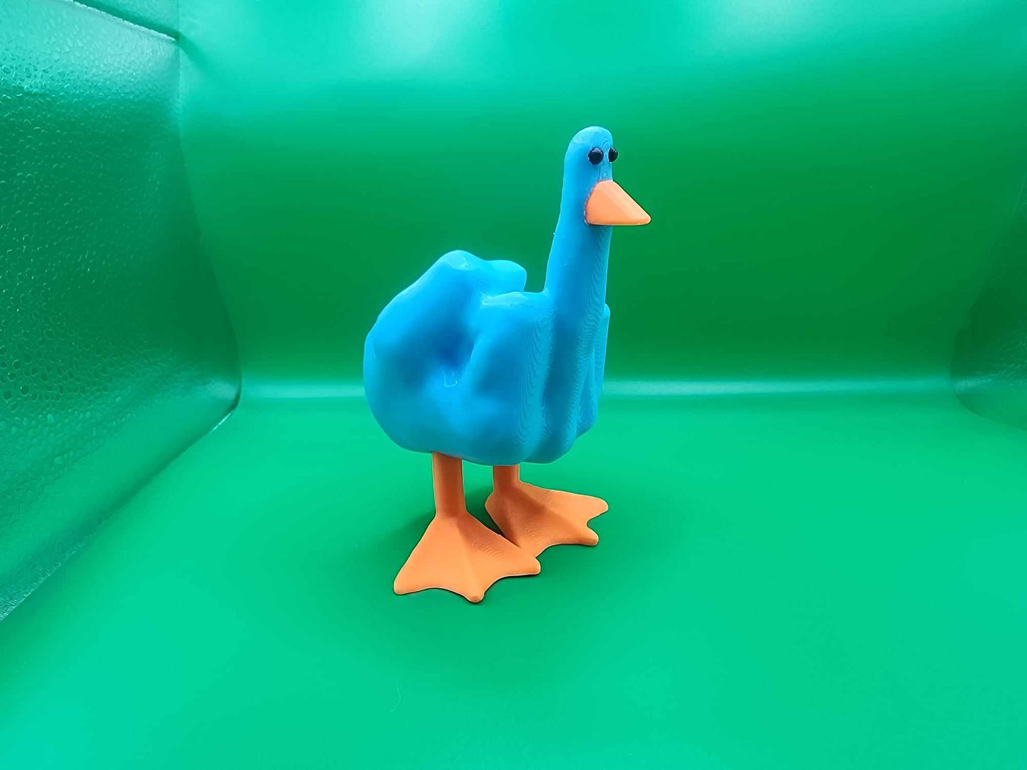 Blue Duck