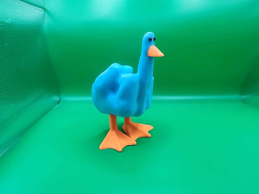 Blue Duck